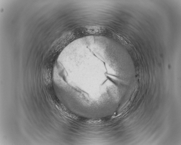 X0000059080606200511041823