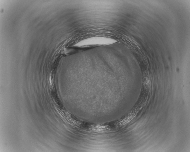 X0000059080607200511041823