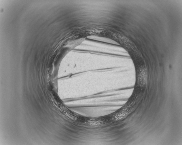 X0000059080608200511041823