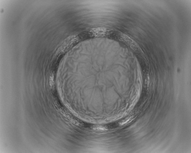 X0000059080610200511041823