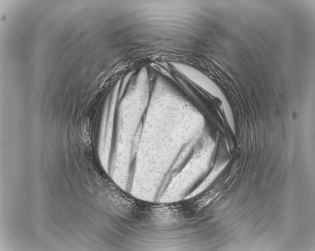 X0000059080616200511041823