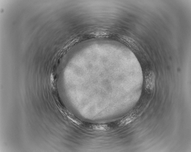 X0000059080618200511041823