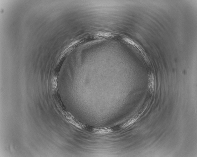 X0000059080621200511041823