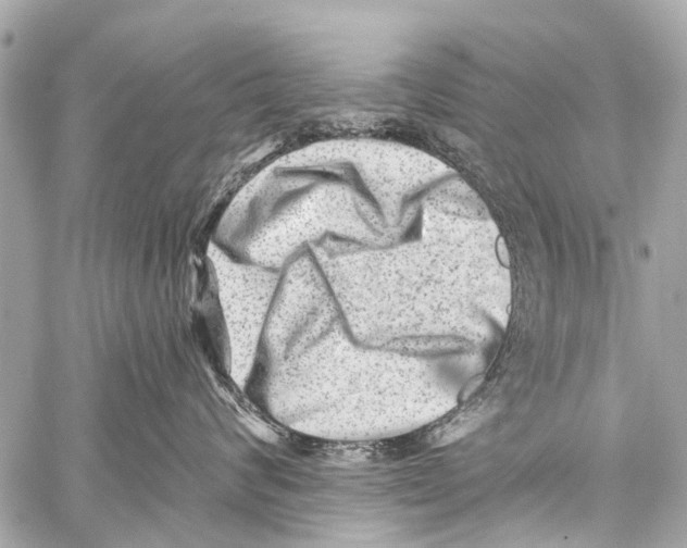 X0000059080624200511041823