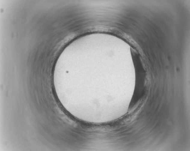 X0000059080625200511041822