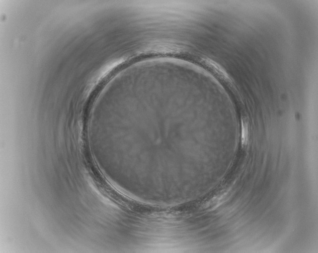 X0000059080627200511041822