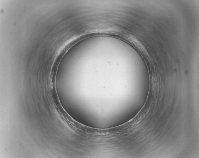 X0000059080628200511041822