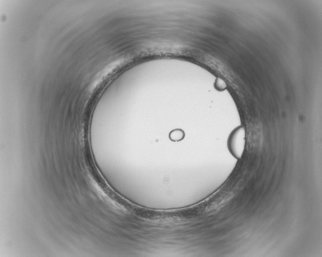 X0000059080629200511041822