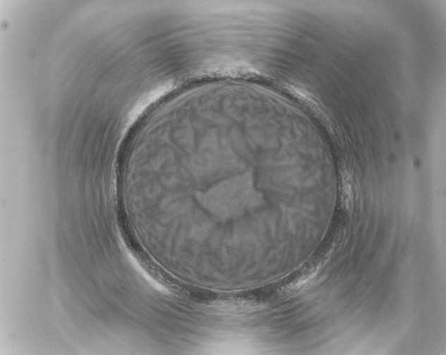 X0000059080630200511041822