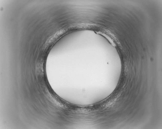 X0000059080633200511041822