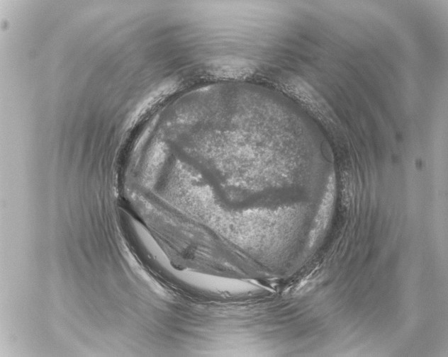 X0000059080634200511041822