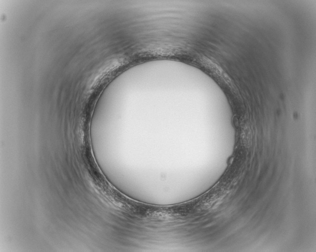 X0000059080635200511041822