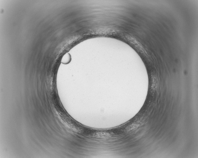 X0000059080636200511041822