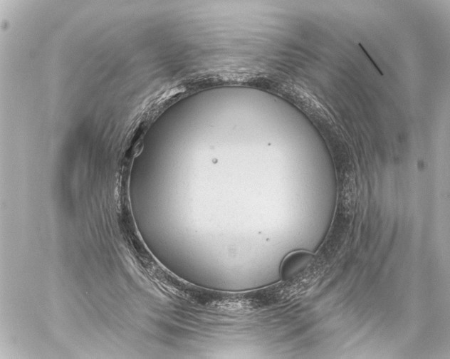 X0000059080639200511041822