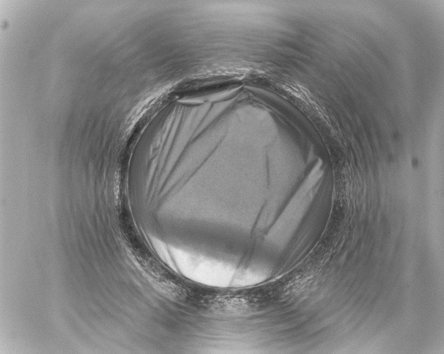 X0000059080640200511041822