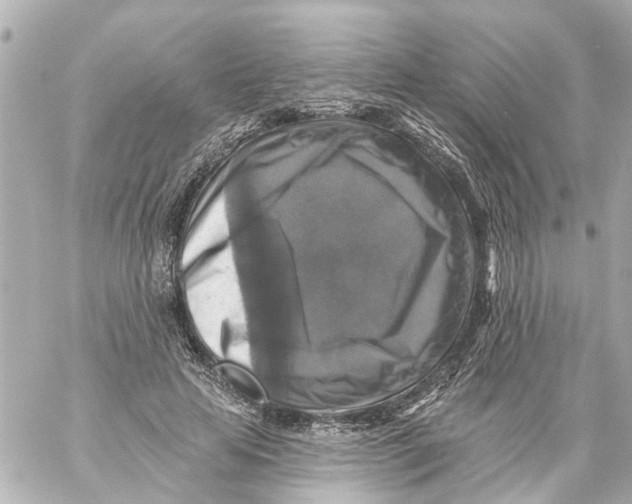 X0000059080641200511041822