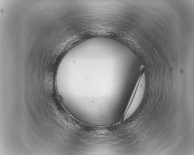 X0000059080642200511041822