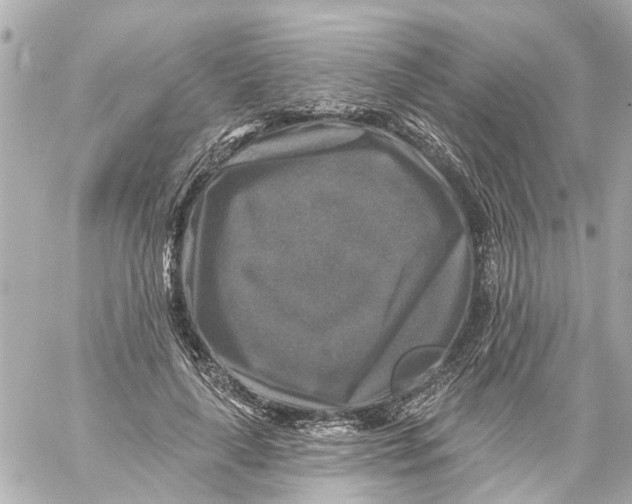 X0000059080643200511041822