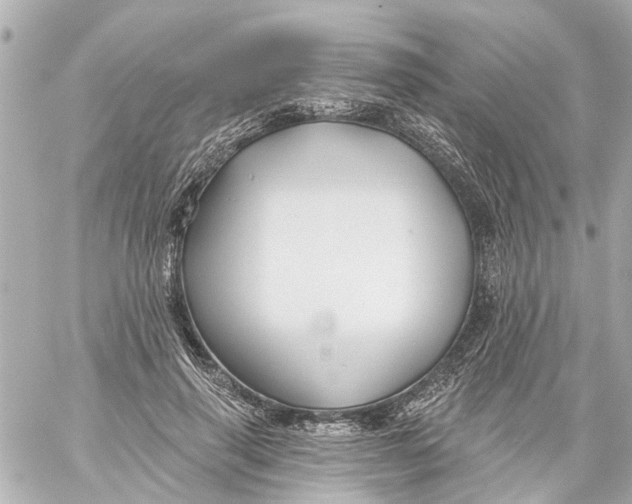 X0000059080645200511041822