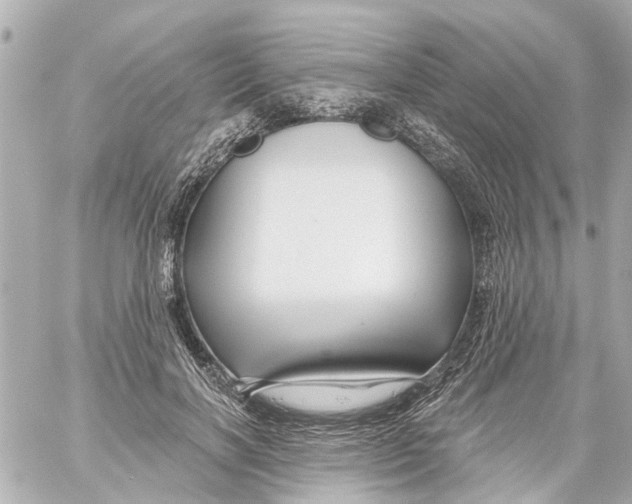 X0000059080646200511041822