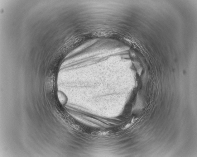 X0000059080647200511041822