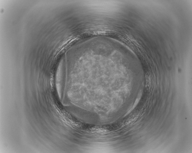 X0000059080648200511041822