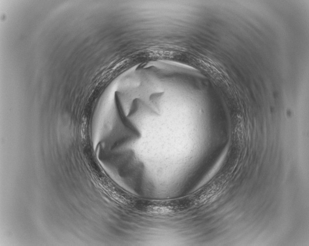 X0000059080649200511041822