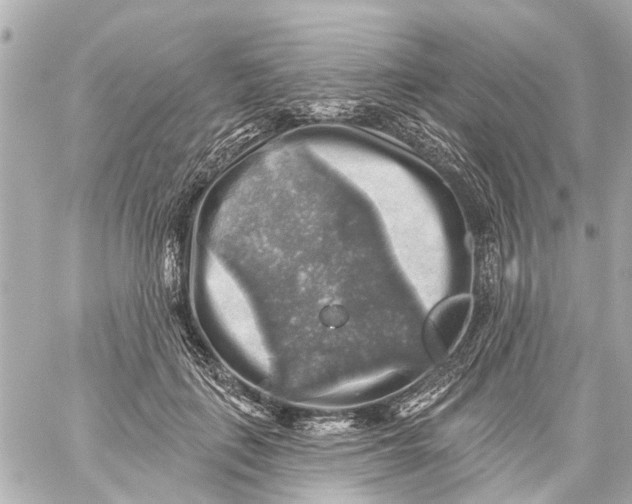 X0000059080651200511041822