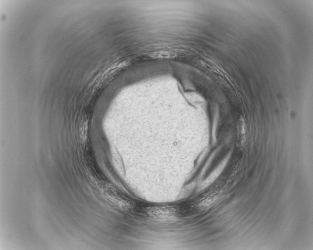 X0000059080652200511041822