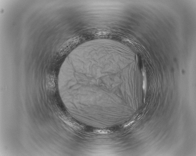 X0000059080654200511041822