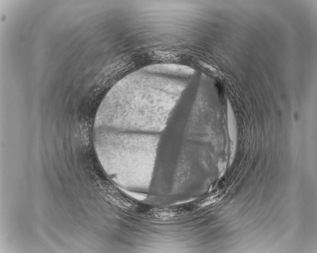 X0000059080658200511041822