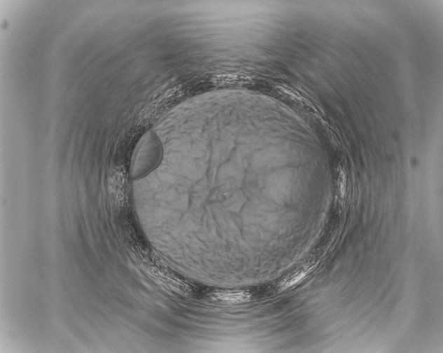 X0000059080659200511041822