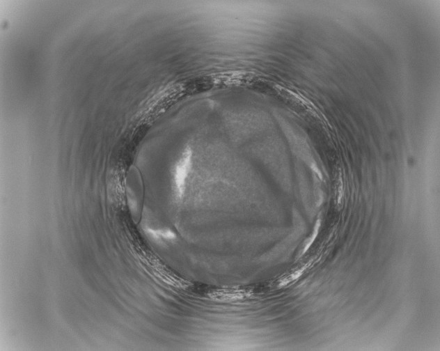 X0000059080661200511041822