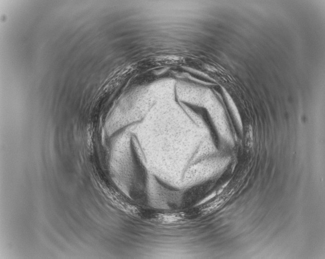 X0000059080662200511041822