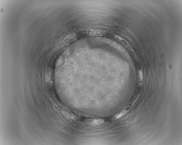 X0000059080663200511041822