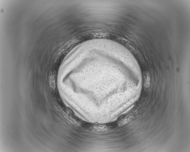 X0000059080666200511041822