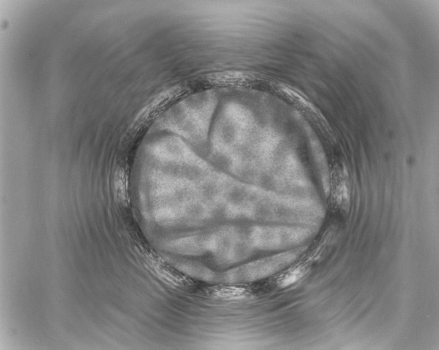 X0000059080669200511041823