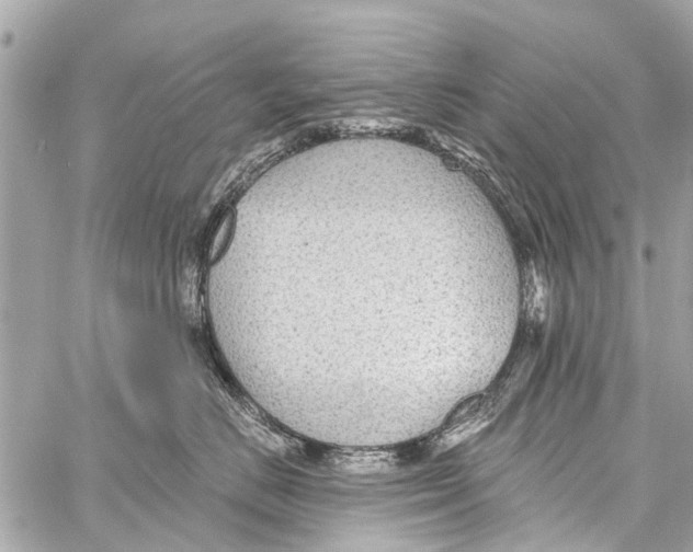 X0000059080670200511041823