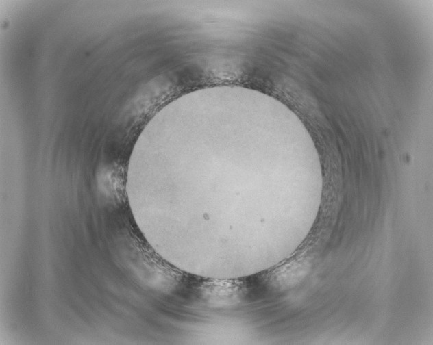 X0000059080672200511041823