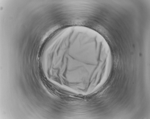 X0000059080674200511041822