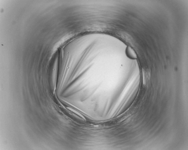 X0000059080675200511041822