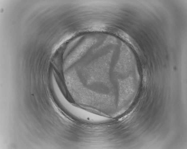 X0000059080677200511041822