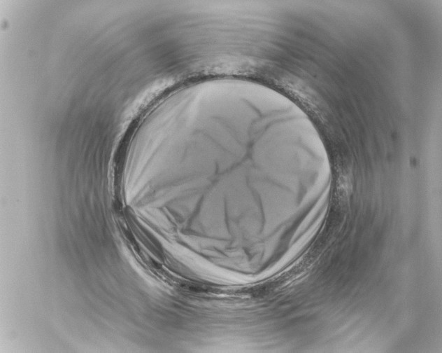 X0000059080678200511041822