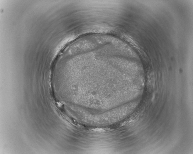 X0000059080679200511041822