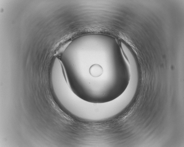 X0000059080681200511041822