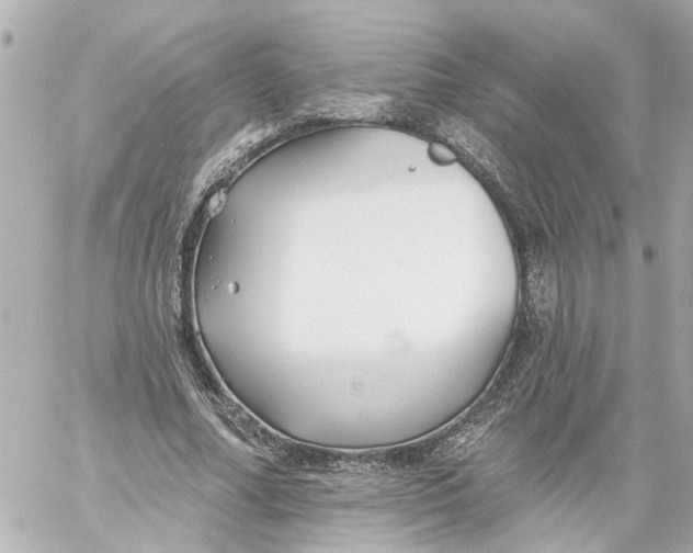 X0000059080682200511041822