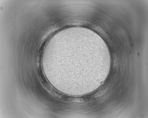 X0000059080683200511041822