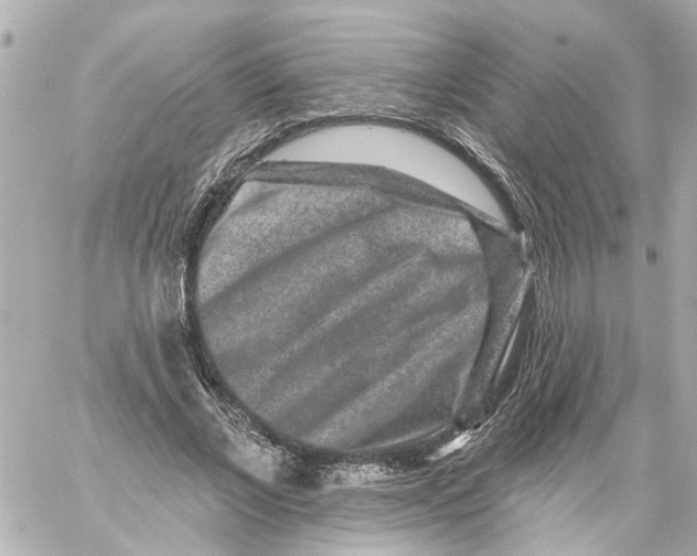 X0000059080685200511041822