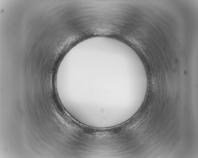 X0000059080686200511041822