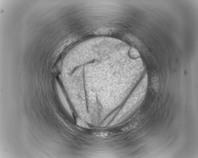 X0000059080687200511041822